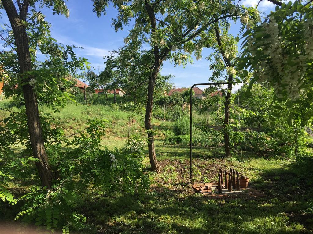 Úrágya Vendégház Mád Exterior foto